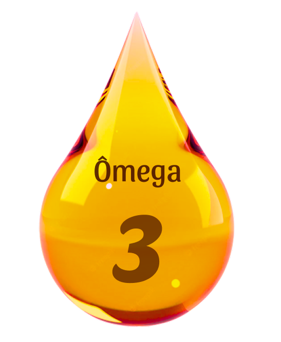 Ômega 3