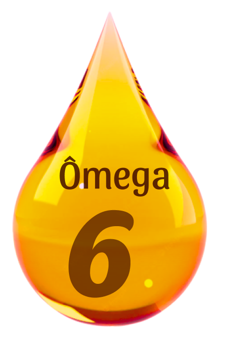 Ômega 6