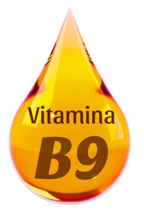 Vitamina B9