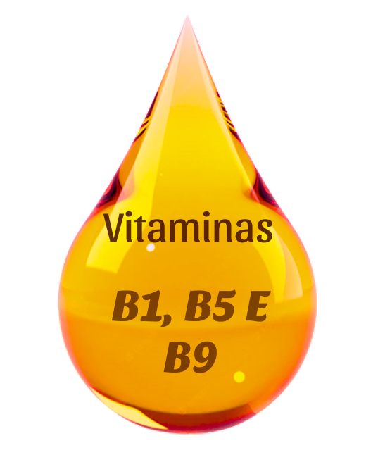 Vitaminas B1, B5 e B9